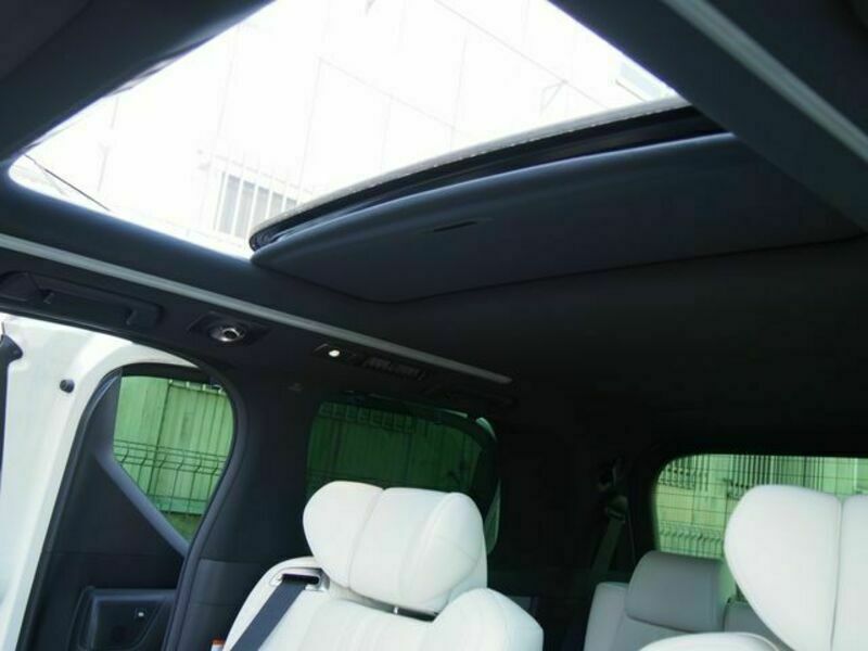 ALPHARD-10