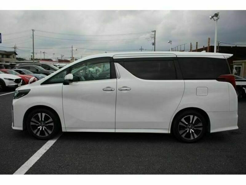 ALPHARD-8