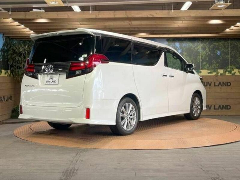 ALPHARD-19