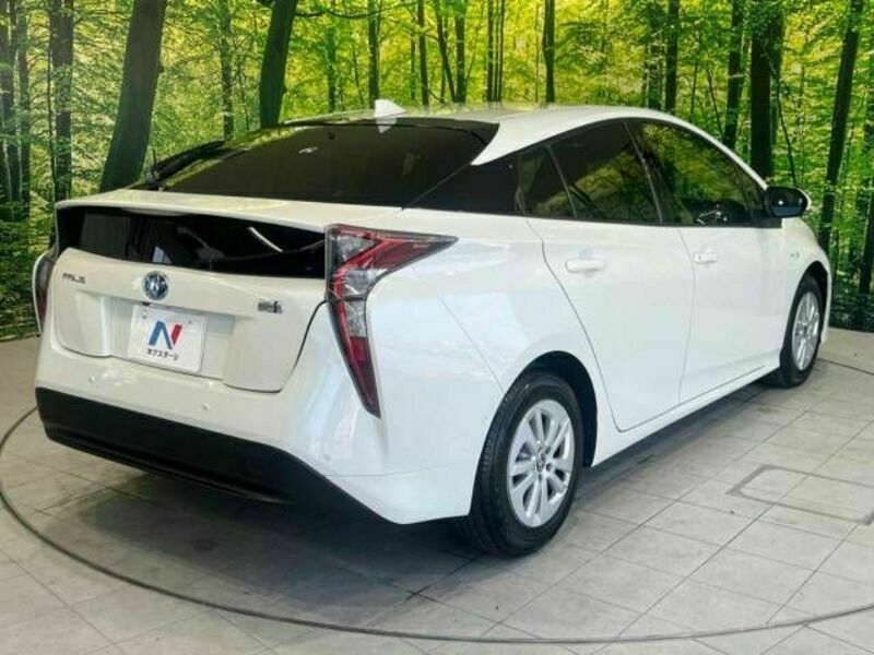 PRIUS-17