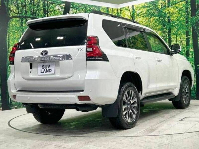 LAND CRUISER PRADO-17