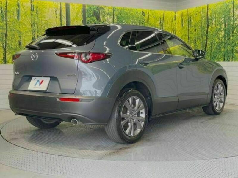 CX-30-17