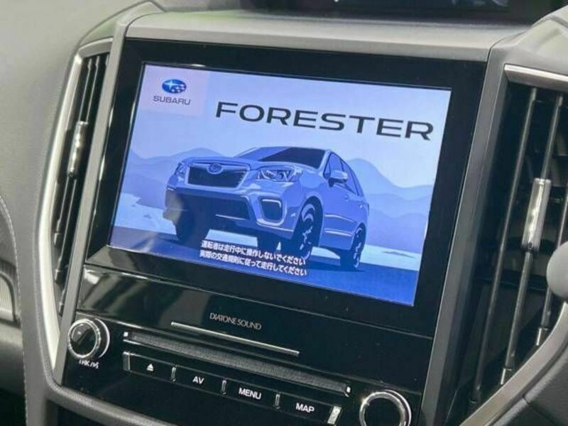 FORESTER-2