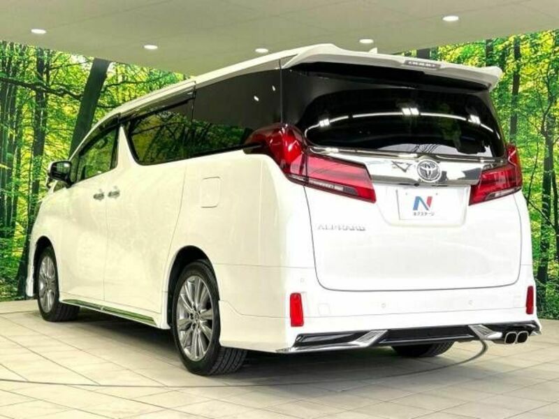 ALPHARD-18