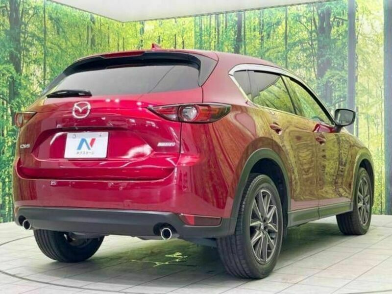 CX-5-17