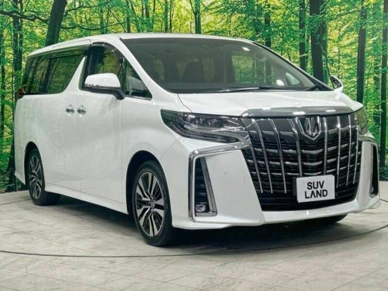 ALPHARD-16