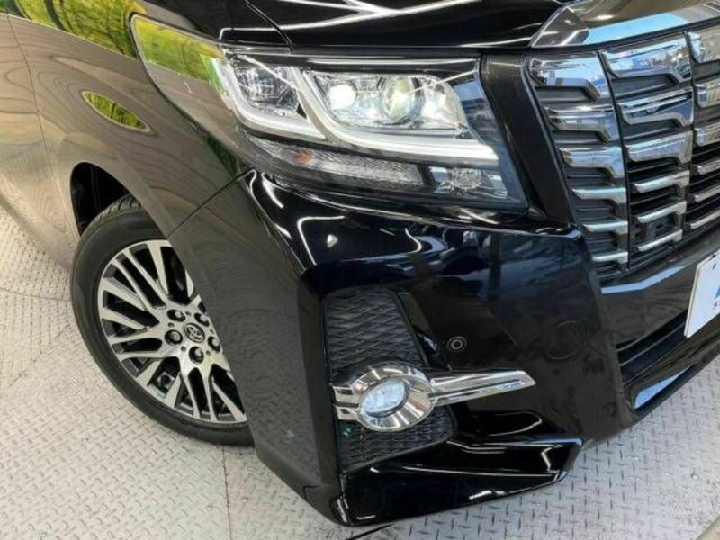 ALPHARD-13