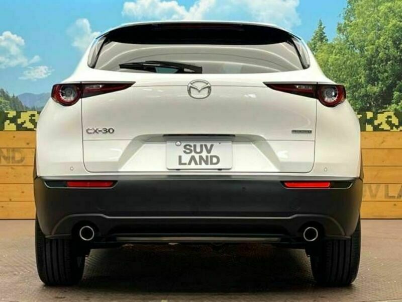 CX-30-15