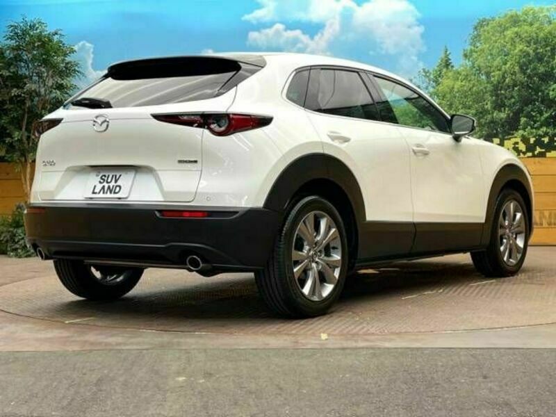 CX-30-17