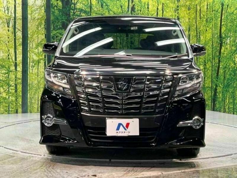 ALPHARD-15