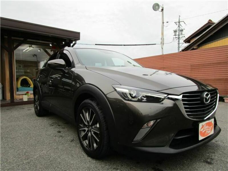 CX-3-19