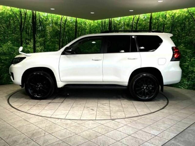 LAND CRUISER PRADO-18