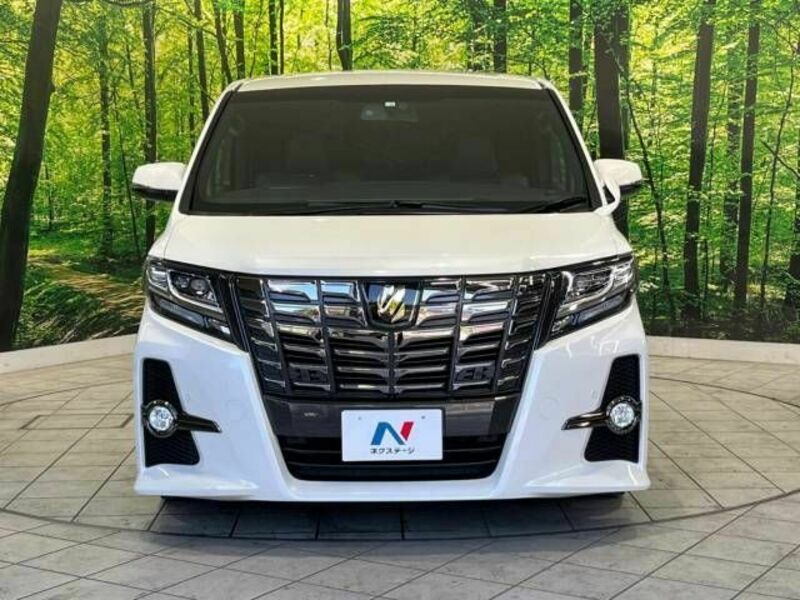 ALPHARD-15