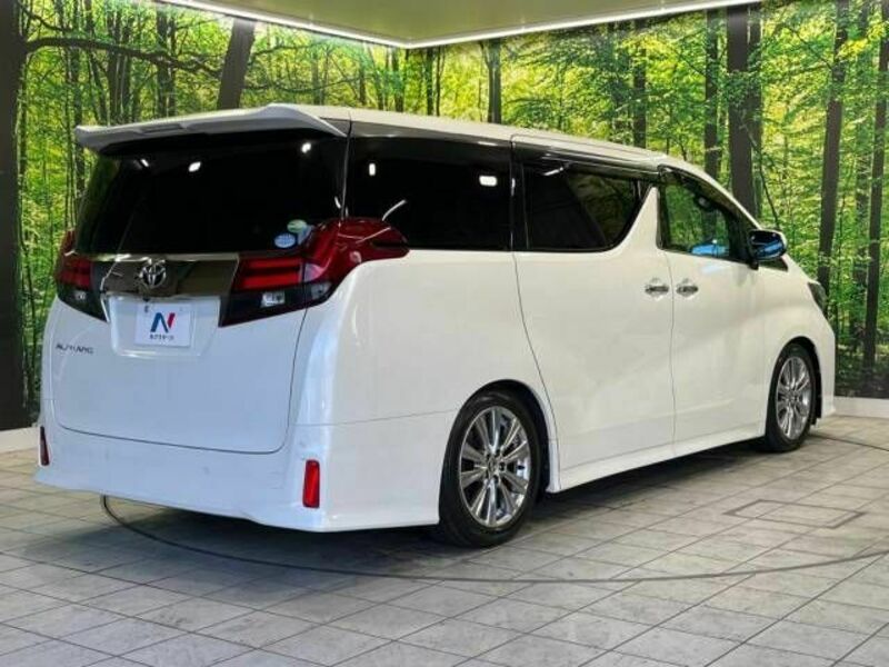 ALPHARD-18