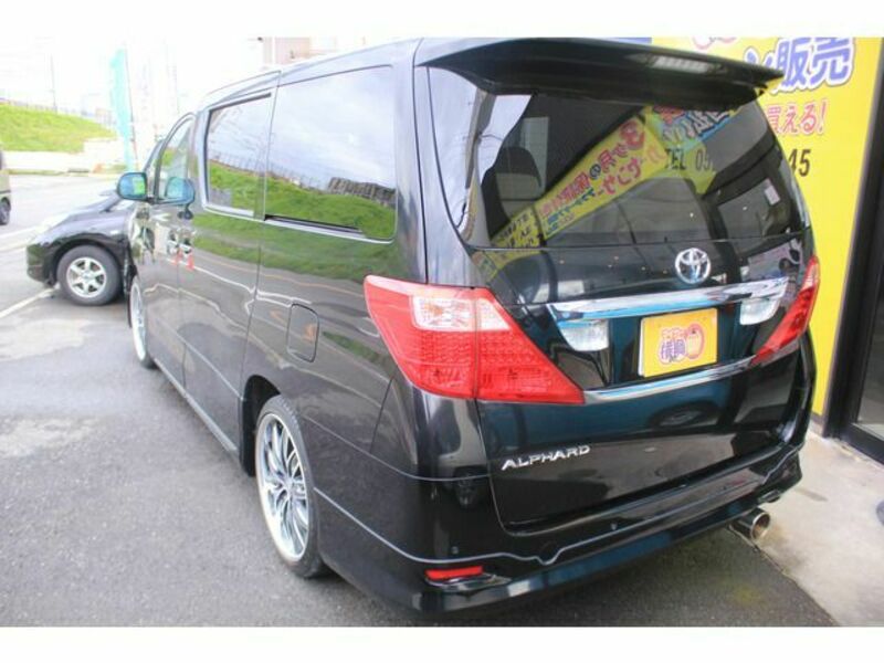 ALPHARD-19