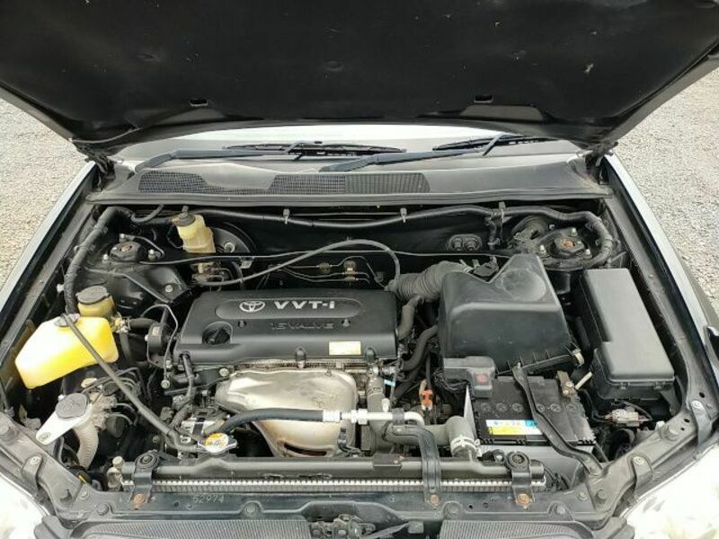 KLUGER L