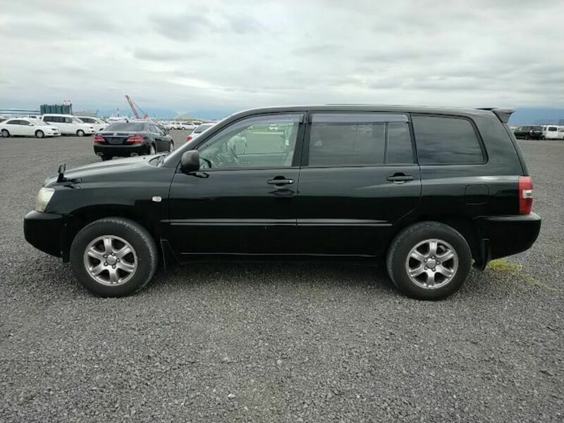 KLUGER L