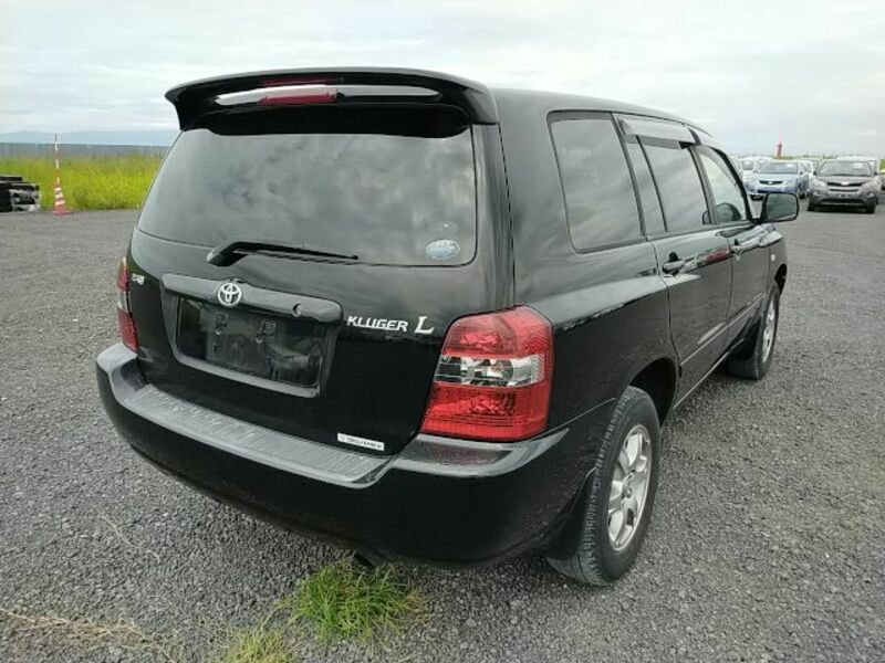 KLUGER L