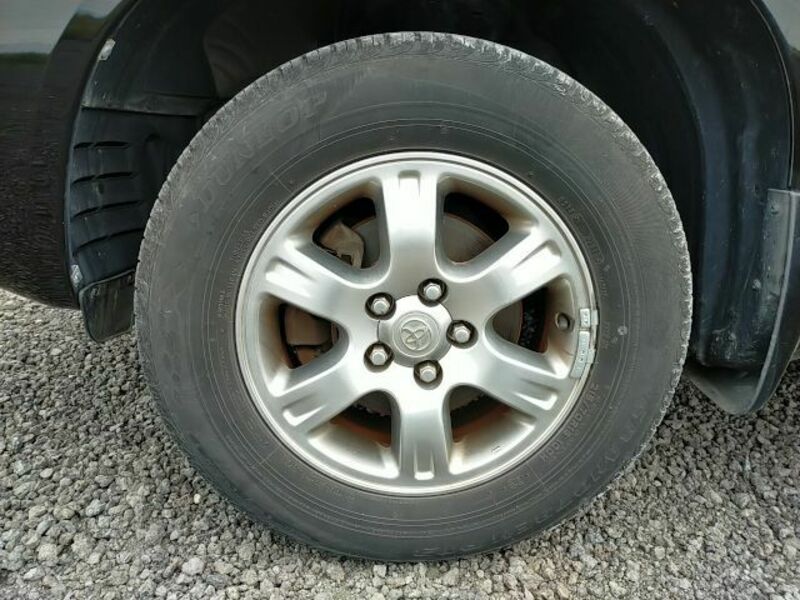 KLUGER L