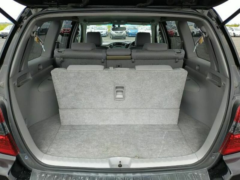 KLUGER L