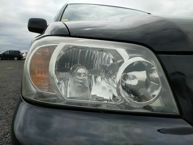 KLUGER L
