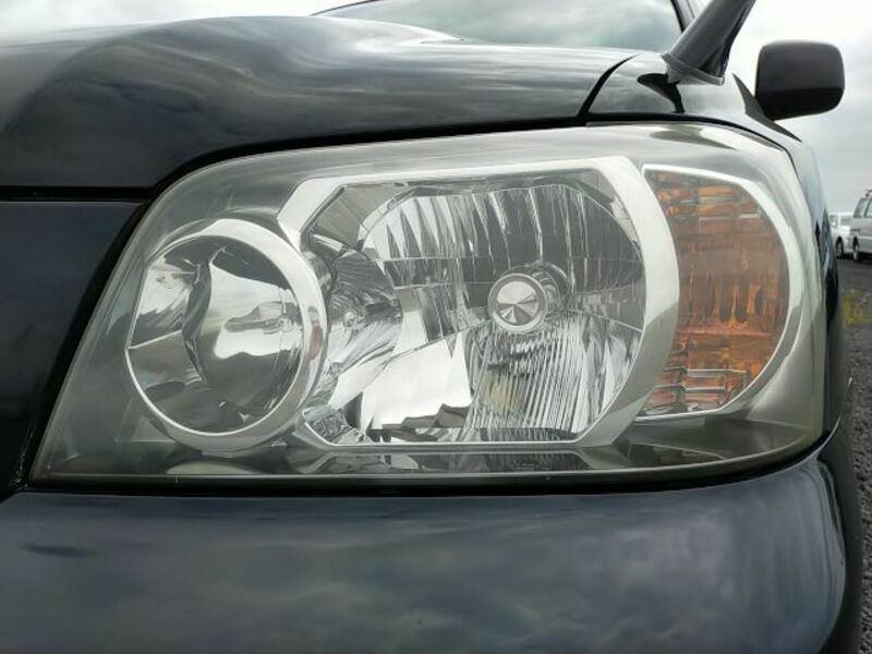 KLUGER L