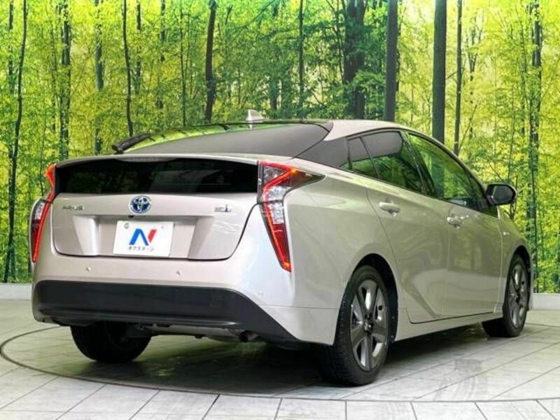 PRIUS-17