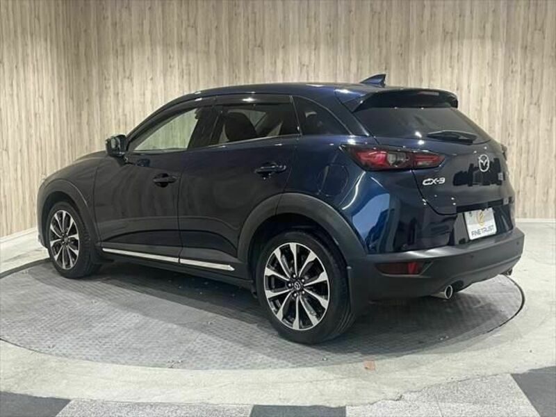 CX-3-19