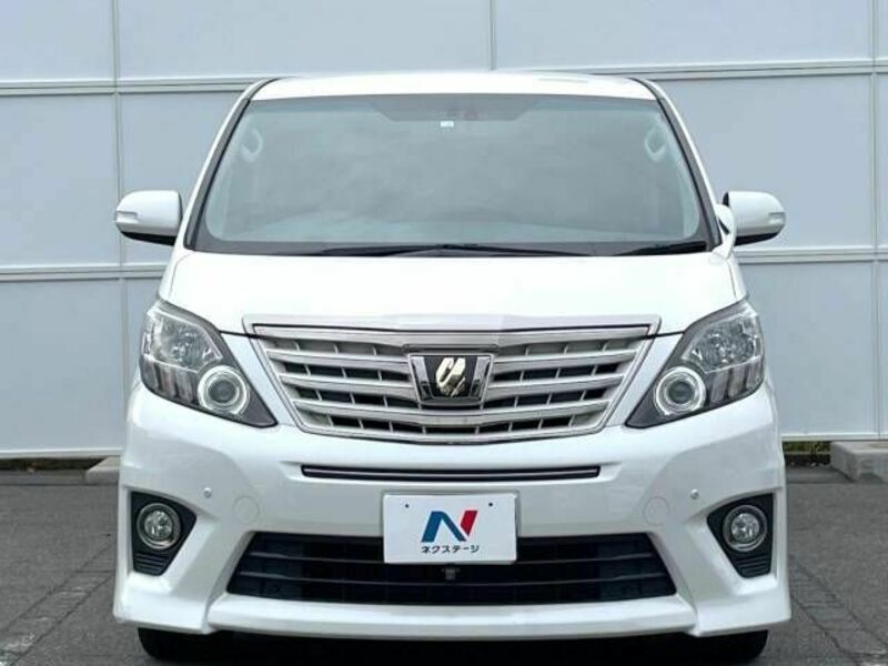 ALPHARD-13