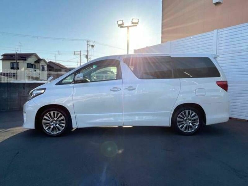 ALPHARD-19