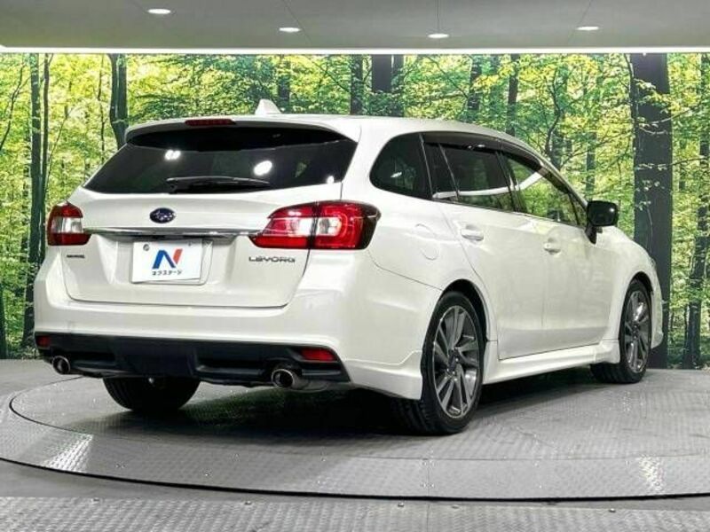 LEVORG-17