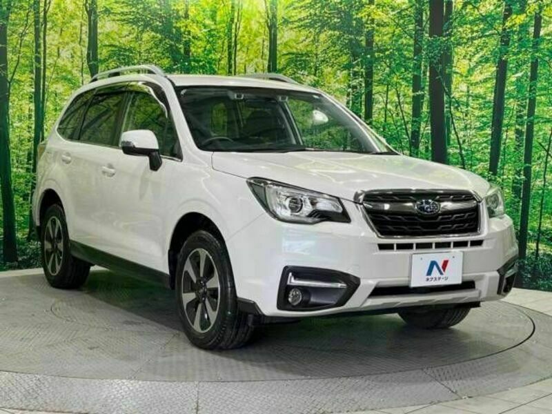 FORESTER-16