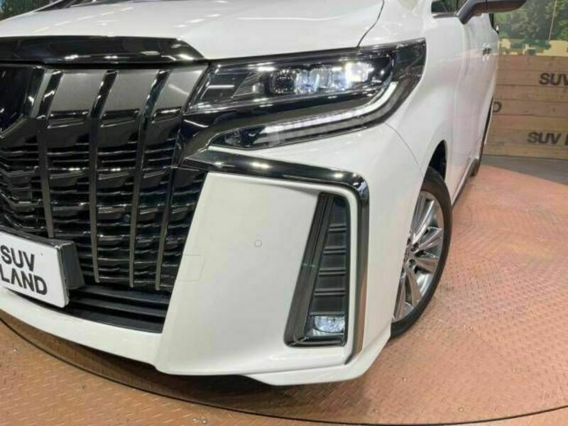 ALPHARD-12