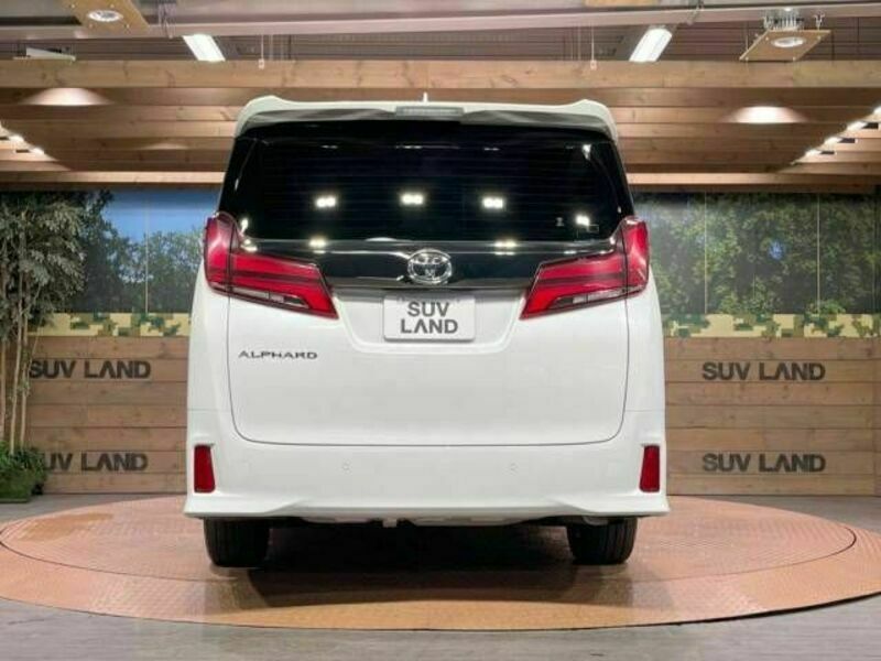 ALPHARD-15