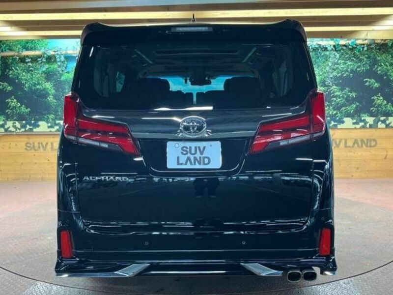 ALPHARD-18