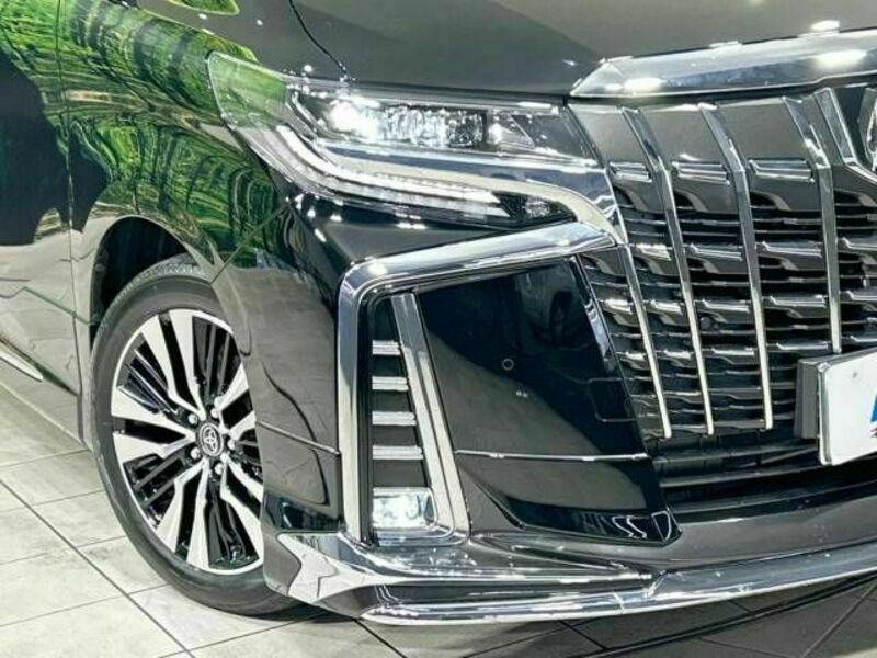 ALPHARD-11