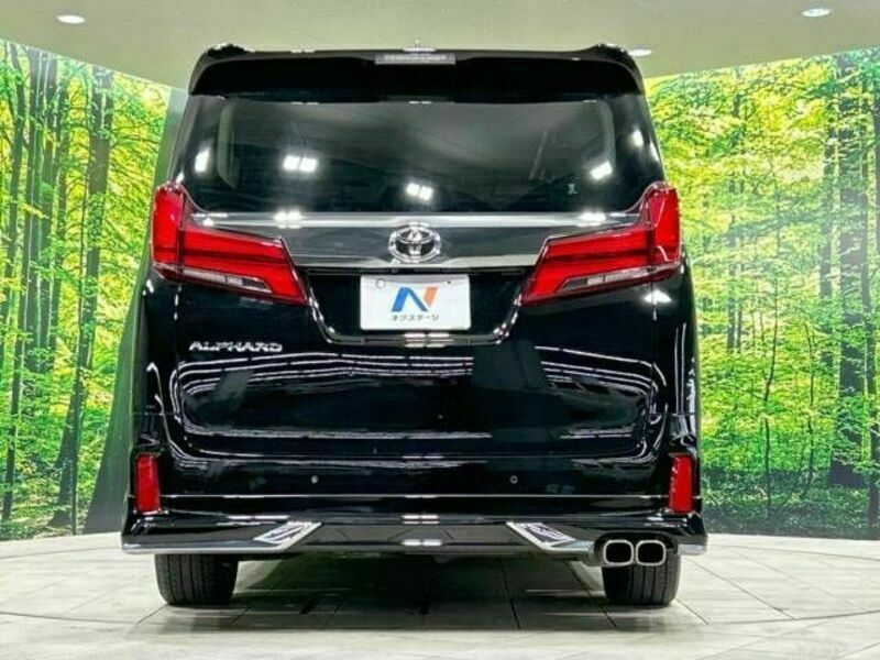 ALPHARD-15