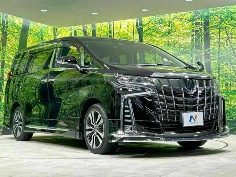 ALPHARD-16