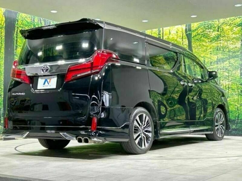 ALPHARD-17