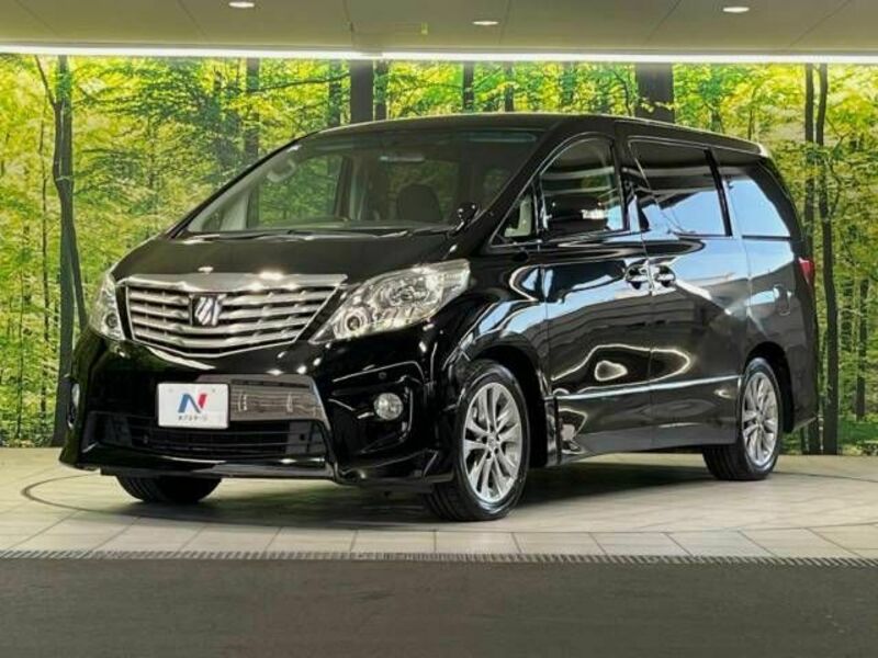 ALPHARD-16