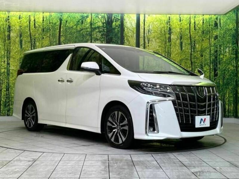 ALPHARD-18