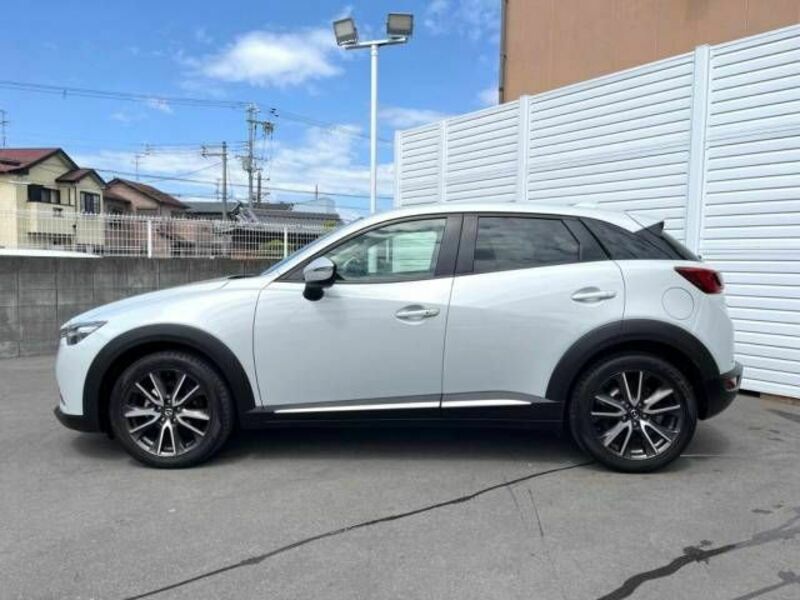 CX-3-17