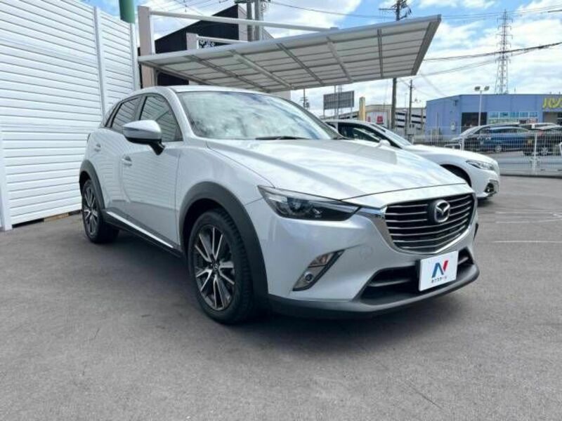 CX-3-19