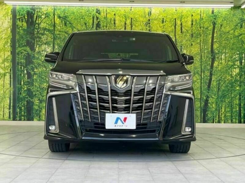 ALPHARD-14