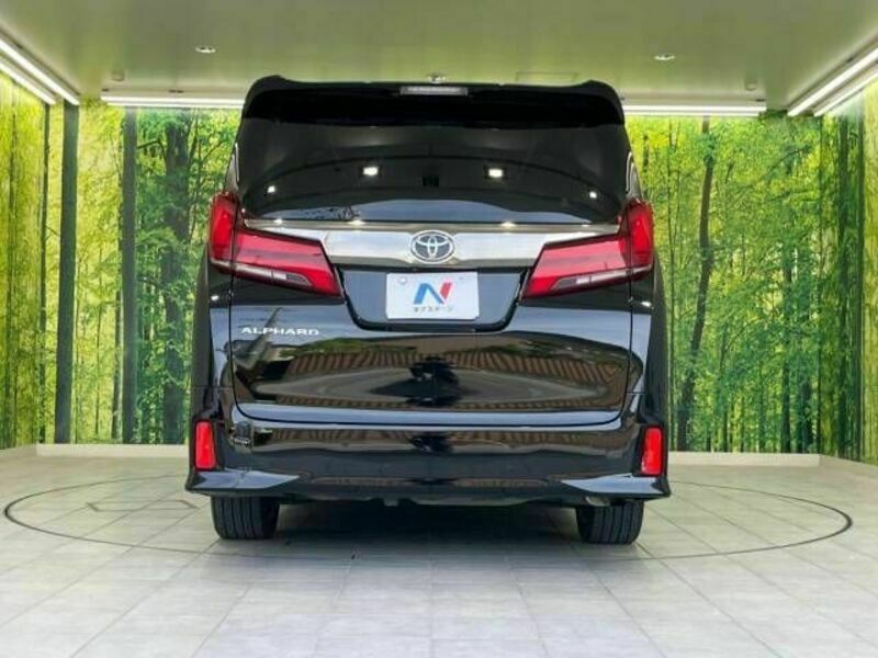 ALPHARD-15