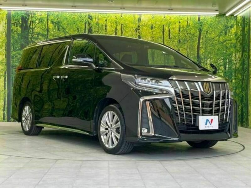 ALPHARD-16