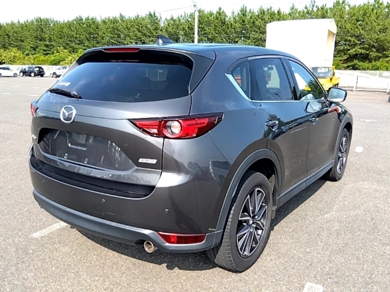 CX-5-6