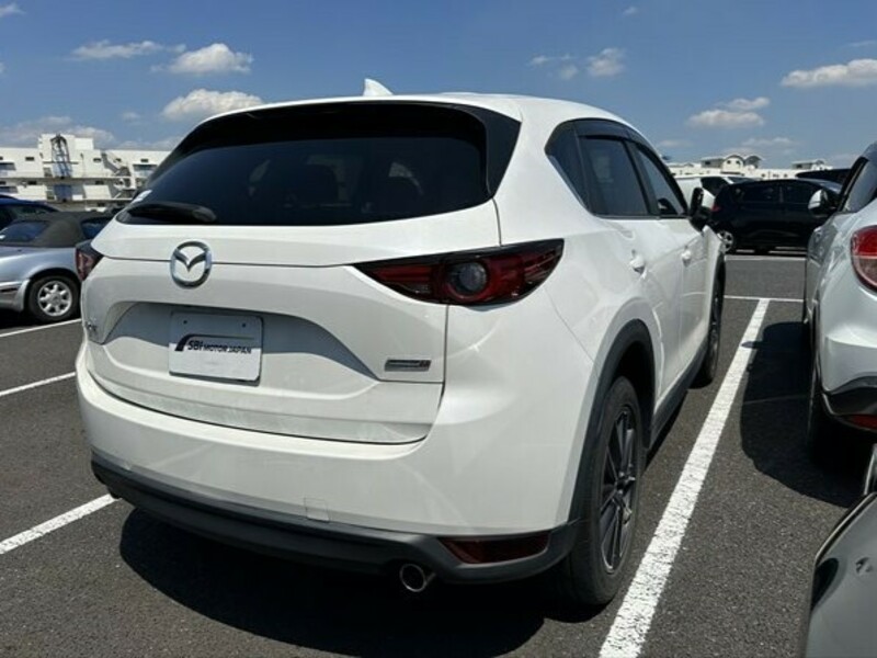 CX-5-3