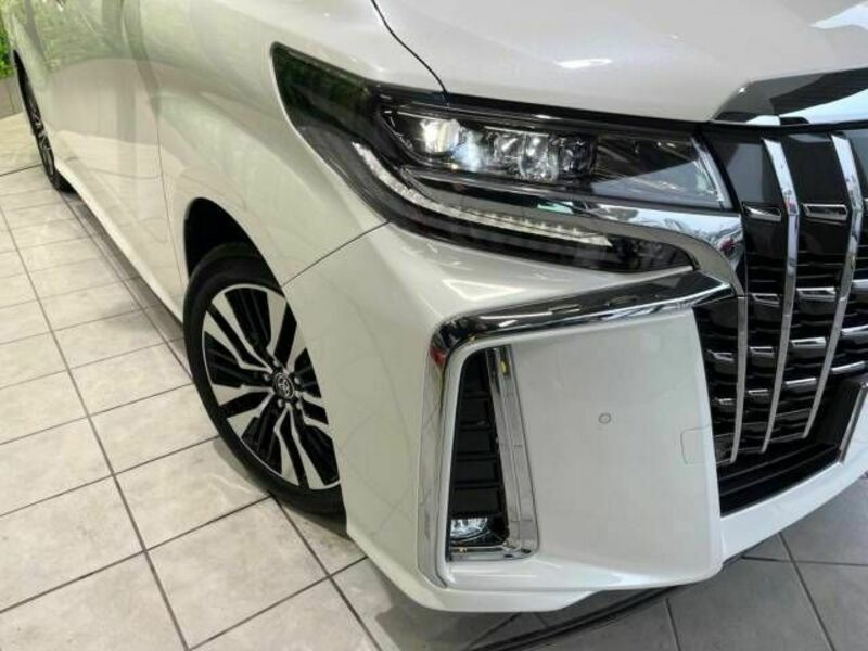 ALPHARD-13