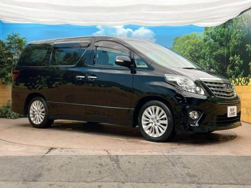 ALPHARD-13